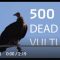 Five-hundred Dead Vultures: Why and what we need to do now